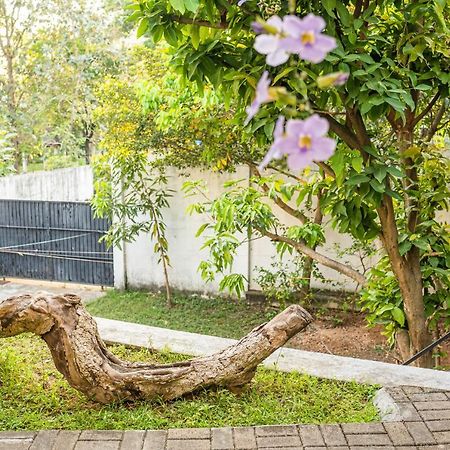 Battaramulla Boutique Villa Sri Jayawardenapura Kotte Kültér fotó